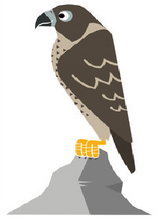 Load image into Gallery viewer, GOSH Animal Name Badge #hello my name is... FALCON
