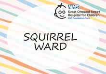 Load image into Gallery viewer, GOSH Animal Name Badge #hello my name is... SQUIRREL